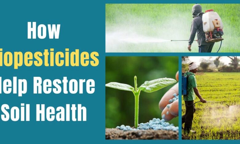 Biopesticides