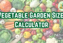 Vegetable Garden Size Calculator