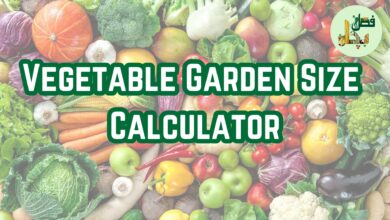 Vegetable Garden Size Calculator