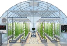 Greenhouse Structure