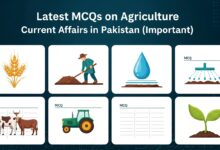 Current Agriculture Affairs