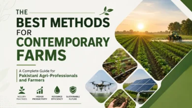Integrated Pest Management