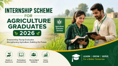 Internship Scheme