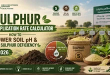 Sulphur Application Rate Calculator