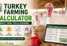 Turkey Farming Calculator