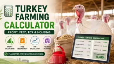Turkey Farming Calculator