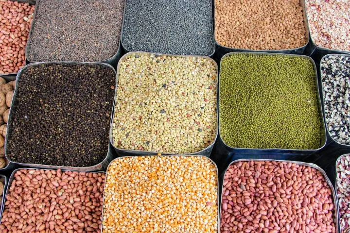 grain imports