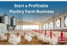 Poultry Farm