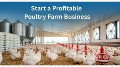 Poultry Farm