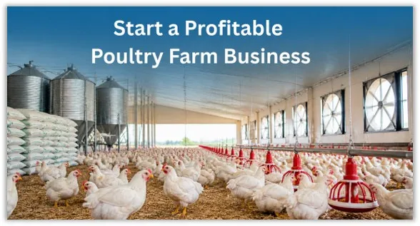 Poultry Farm